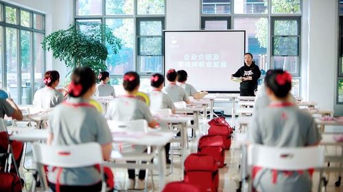 支持家政企業(yè)擴大育兒服務 三胎政策下天鵝到家的機遇與擔當